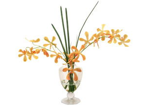 Yellow-Orange Vanda Orchids, Grass in Glass Urn