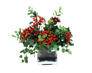 Red Wild Berries and Mountain Ivy in Square Glass Vase