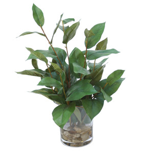 Bayleaf in Small Flared Rounded Glass Vase