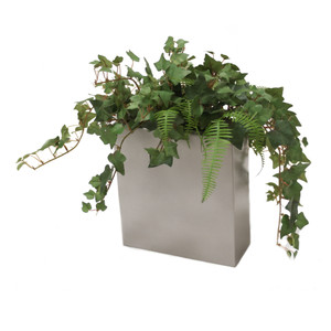 Mini Ivy & Fern in Tall Pillow Vase (Set of 2)
