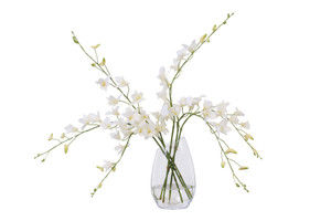 Waterlook White Dendrobium Orchid in Angled Glass Vase