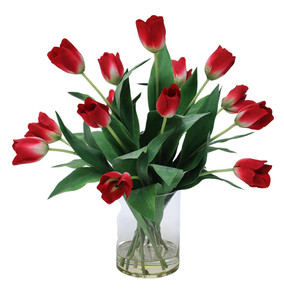 Waterlook  Red Tulips in Glass Cylinder