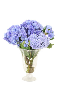 Blue Hydrangea's in Flared Vase