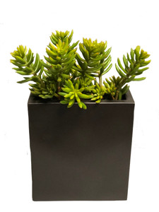 Succulents in Tall Metal Pillow Vase (Set of 2)