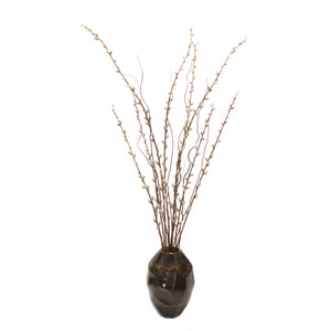 Pussy Willow, Willow branches in  Stoneware vase