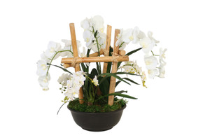 Phaleanopsis Orchids in Black Bowl