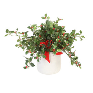 Holly Berry in White Wash Planter