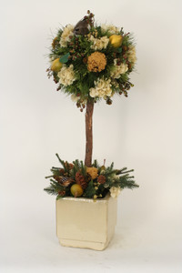 Partridge in a Pear Tree in Square Planter