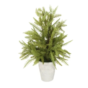 Fir Tree in White Pot