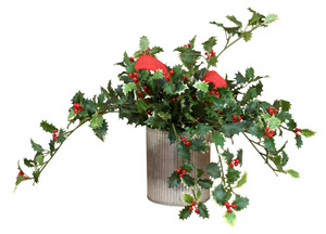 Holly Berry in Round Tin Container