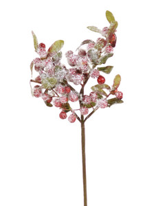 9" Red Berry Pick with Leaf and Snow  (Sold in Multiples of 24)