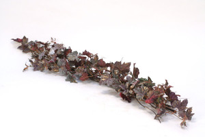 Frosted Grape Leaf Swag  (Set of 2)
