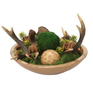Mixed Succulent Garden and Moss in Mocha Stoneware Bowl