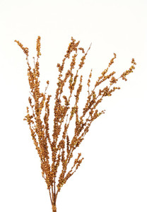26" Glitter Berry Bamboo in Metallic Bronze Copper (Sold in Multiples of 6)