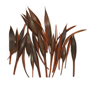 PALM PADDLES, MINI DARK BROWN  (30 Pieces per Pack)