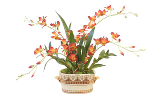 Rust Dendrobium Orchids in Decorative Planter