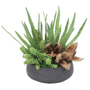 Succulent Mix in Rough Stone Black Bowl