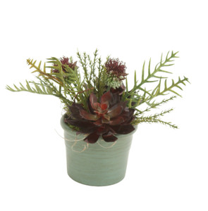 Burgundy And Sage Succulents & Thistle In Teal Clay Pot