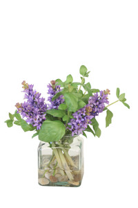 Hyacinth's in Clear Vase