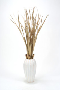 DRIED RUSH GRASS AND MAHOGANYPODS IN TALL WHITE RIBBED VASE