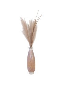 Pampas Plumes in Light Colored Vase