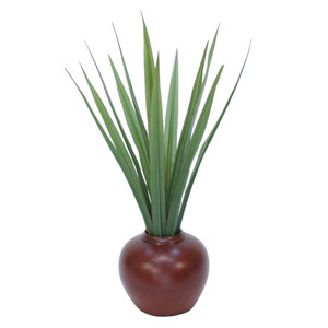 Flax Plant in Stoneware Planter