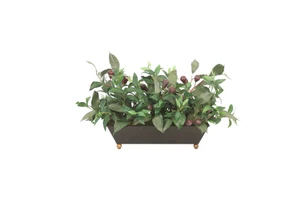 Olive Branches and Greenery in Footed Metal