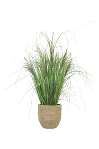 Mixed Grasses in Rope Planter