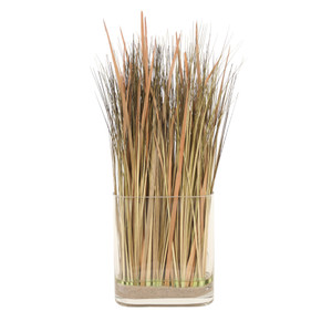 Natural Tan Grass Sand in Oval Glass
