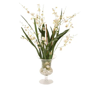 White Oncidium Orchid with White Rocks and Shells in Glass Urn