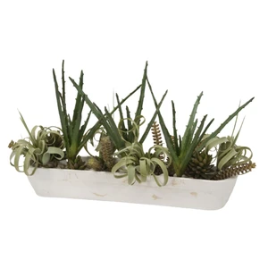 Succulent Garden in White Wooden Trough