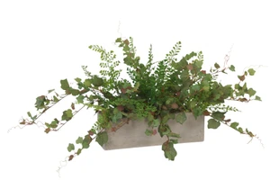 Maiden Hair Mixed with Flocked Grapeleaf in Concrete Box