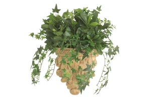 Mini Ivy Mixed with Pittosporum in Wall Sconce