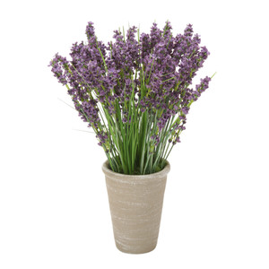 Dried Lavender in Grey Planter (Pk 2)