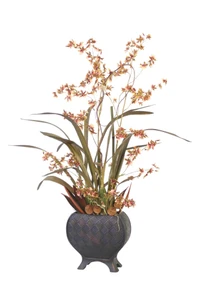 Gold Brown Oncidium Orchids with Pods, Platys Cone, Palm Paddles