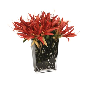 Dark Orange Amaryllis with Laurel in Flared Spotted Glass Vase