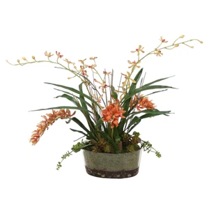 Orchid Garden in Oval Glass with Succulents