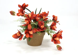 Rust Orchids and Orchid Foliage in Stained Pot