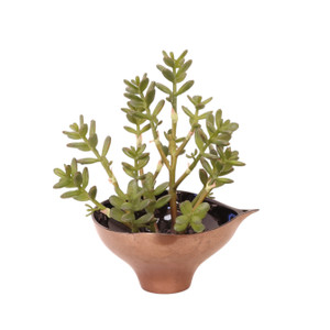 Succulents in Bronze Planter
