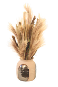 Pampas Grass in Tan Two Toned Pot