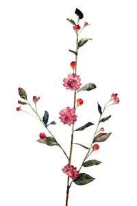 PRUNUS MUM - WINE-Set of 6