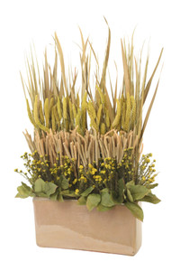 Mixed Drieds in Mocha Glazed Planter