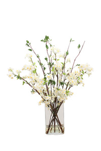 Waterlook® Apple Blossoms in Rectangular Glass