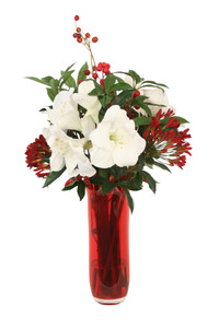 Waterlook® Red Agapanthus with White Amaryllis in Red Glass Vase