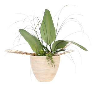 Tropical Foliage and Succulents in Oval Planter