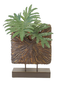 Philodendron in Starburst Standup Container