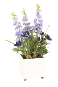 Blue Delphinium with Blue Crocus Plant and Bouganvillea in White Planter