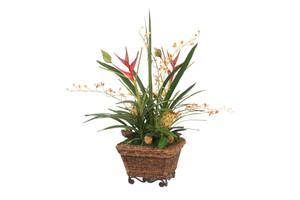 Orchid Garden in Woven Rope Basket with Metal Base