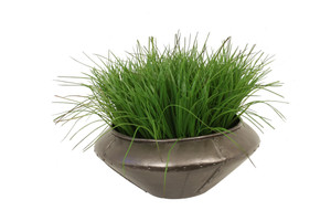 Grass in Round Metal Planter