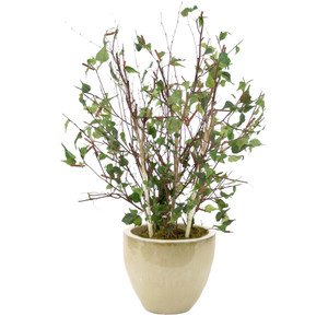 4' Birch Tree in Glazed Sand Finish Planter